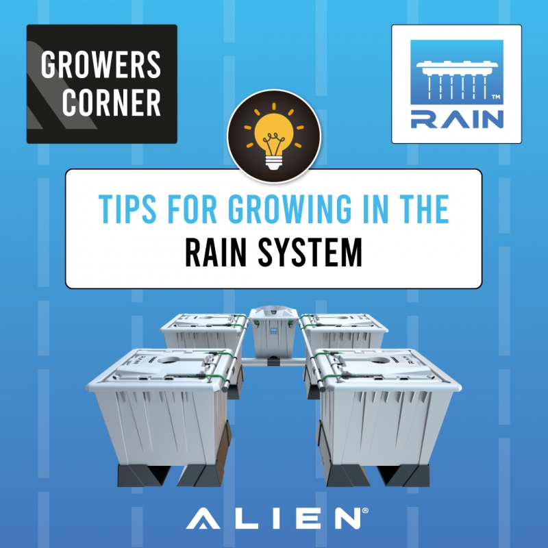 Growers Corner Tips for Growing in an RAIN Hydroponic System Insta image